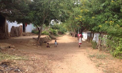 Why Kerala’s Development Story Doesn’t Reach Attapady’s Tribals