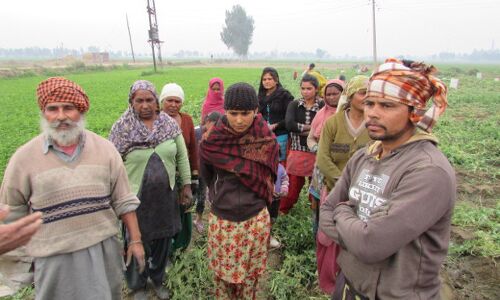 Drugs, Despair And Decline Fuel Demand For Change In Punjab