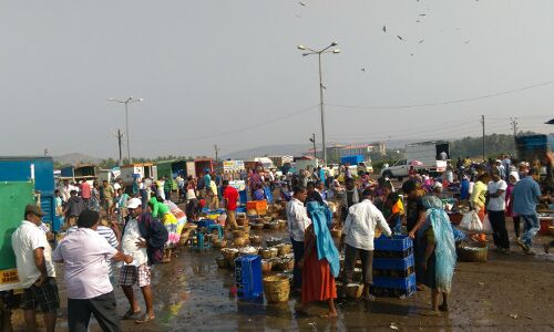 #Notebandi Frontlines: Sales Fall, Anger Rises--Why The Fishing Industry Can’t Go Cashless #Notebandi Frontlines: Sales Fall, Anger Rises--Why The Fishing Industry Can’t Go Cashless