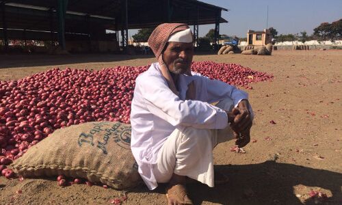 #Notebandi Frontlines: Onion Rates Halve, Farmers Have No Cash, Can’t Go Cashless #Notebandi Frontlines: Onion Rates Halve, Farmers Have No Cash, Can’t Go Cashless