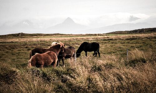 Why 1.1 Million HIV+ve Indians Don’t Get Drugs They Need Why 1.1 Million HIV+ve Indians Don’t Get Drugs They Need