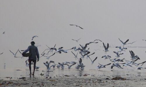 Varanasi, Allahabad Air Breached WHO Pollution Limits Almost Every Day In August Varanasi, Allahabad Air Breached WHO Pollution Limits Almost Every Day In August