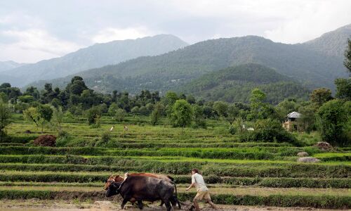 37% Districts Short Of Rain Despite Normal Monsoon; September Crucial
