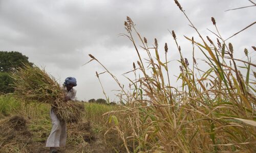 Agriculture In 115 Indian Districts Most At Risk From Climate Change