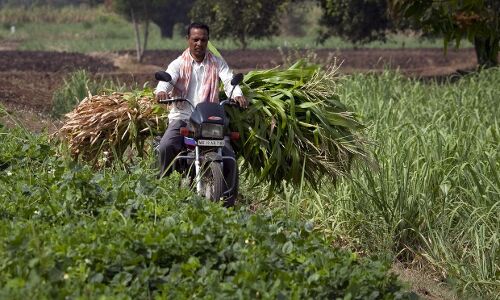 How Water Inequality Governs Drought-Hit Maharashtra How Water Inequality Governs Drought-Hit Maharashtra