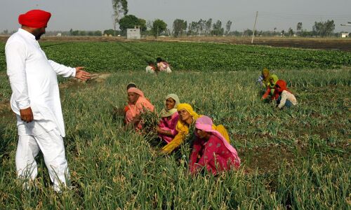 Farmers Tax Exempt—So Is Company With Rs 215-Cr Profit Farmers Tax Exempt—So Is Company With Rs 215-Cr Profit