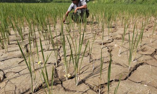 Five Things That Should Worry India Five Things That Should Worry India