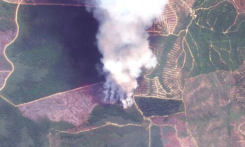 How Indonesian Fires Are Affecting Global Climate How Indonesian Fires Are Affecting Global Climate