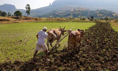 Dodgy Data: Farm Suicides Drop 67% In 6 Years Dodgy Data: Farm Suicides Drop 67% In 6 Years