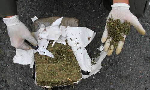 Indias Soaring Drug Problem: 455% Rise In Seizures Indias Soaring Drug Problem: 455% Rise In Seizures