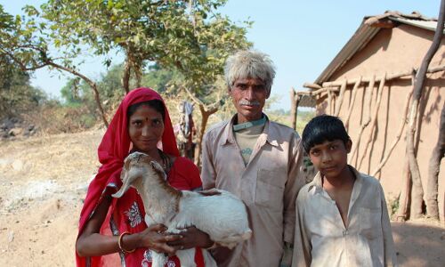 Goats and More: An Anti-Poverty Guide For Modi Goats and More: An Anti-Poverty Guide For Modi