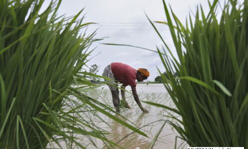 Top 10 New Schemes Explained