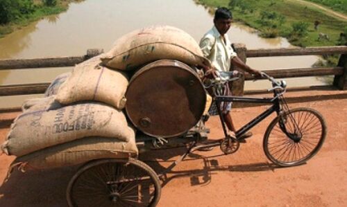 A No-Brainer: Subsidies Or Human Development? A No-Brainer: Subsidies Or Human Development?