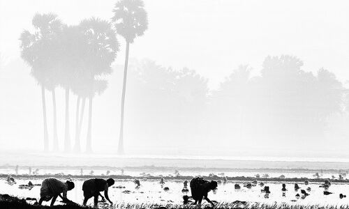The Surprising Story Behind Indias Fastest Growing Agri States The Surprising Story Behind Indias Fastest Growing Agri States