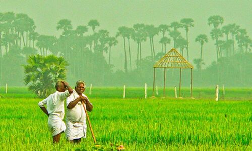 How Many Farmers Does India Really Have ? How Many Farmers Does India Really Have ?