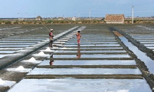 Indias Salt Is Cheap But The Land Beneath It Is Not Indias Salt Is Cheap But The Land Beneath It Is Not