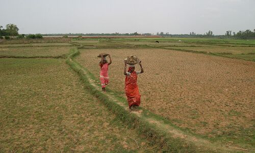 India’s 50-Year-Old Agri Challenge, Low Foodgrain Per Capita: Budget 2014 Primer India’s 50-Year-Old Agri Challenge, Low Foodgrain Per Capita: Budget 2014 Primer