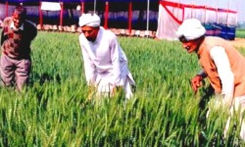 The Government’s (Almost Silent) Agricultural Spending Boost