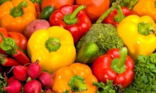 An Interesting Agri Initiative Runs Short Of Funds An Interesting Agri Initiative Runs Short Of Funds