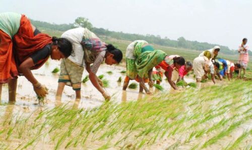 Why Bihar’s Miracle Story Might Be Short-Circuited Why Bihar’s Miracle Story Might Be Short-Circuited