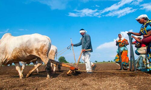 Indias 10,000 Farmers-Collective Plan Needs Funds, Professional Management Indias 10,000 Farmers-Collective Plan Needs Funds, Professional Management