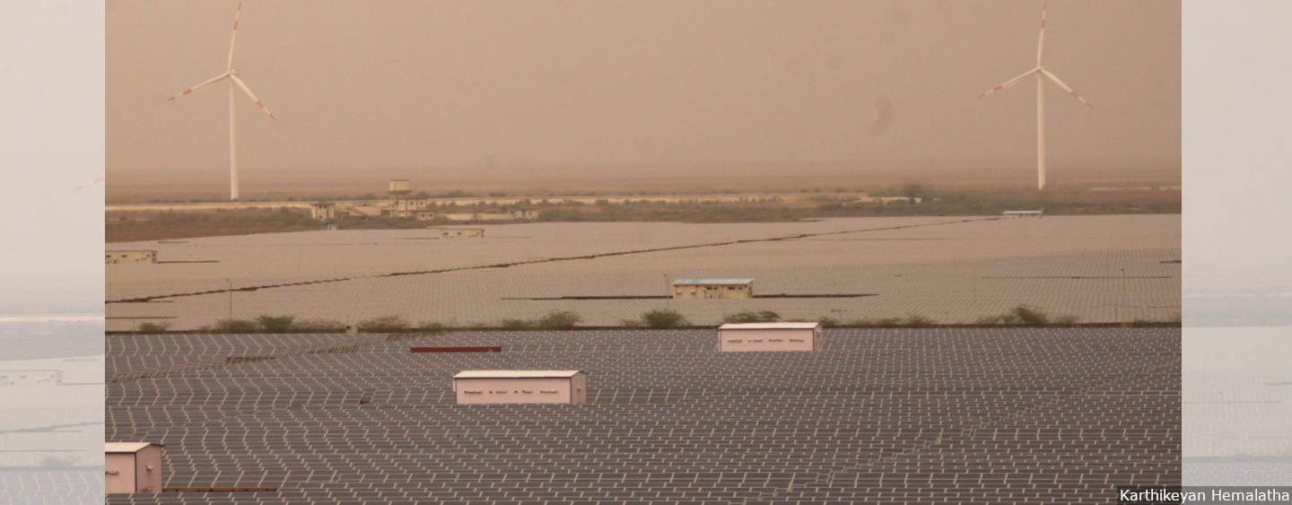 The Charanka solar park is spread over 5,384 acres of land where cows, buffaloes and goats raised by the local maldhari community used to graze. It is now out of bounds for them. Credit: Karthikeyan Hemalatha/IndiaSpend