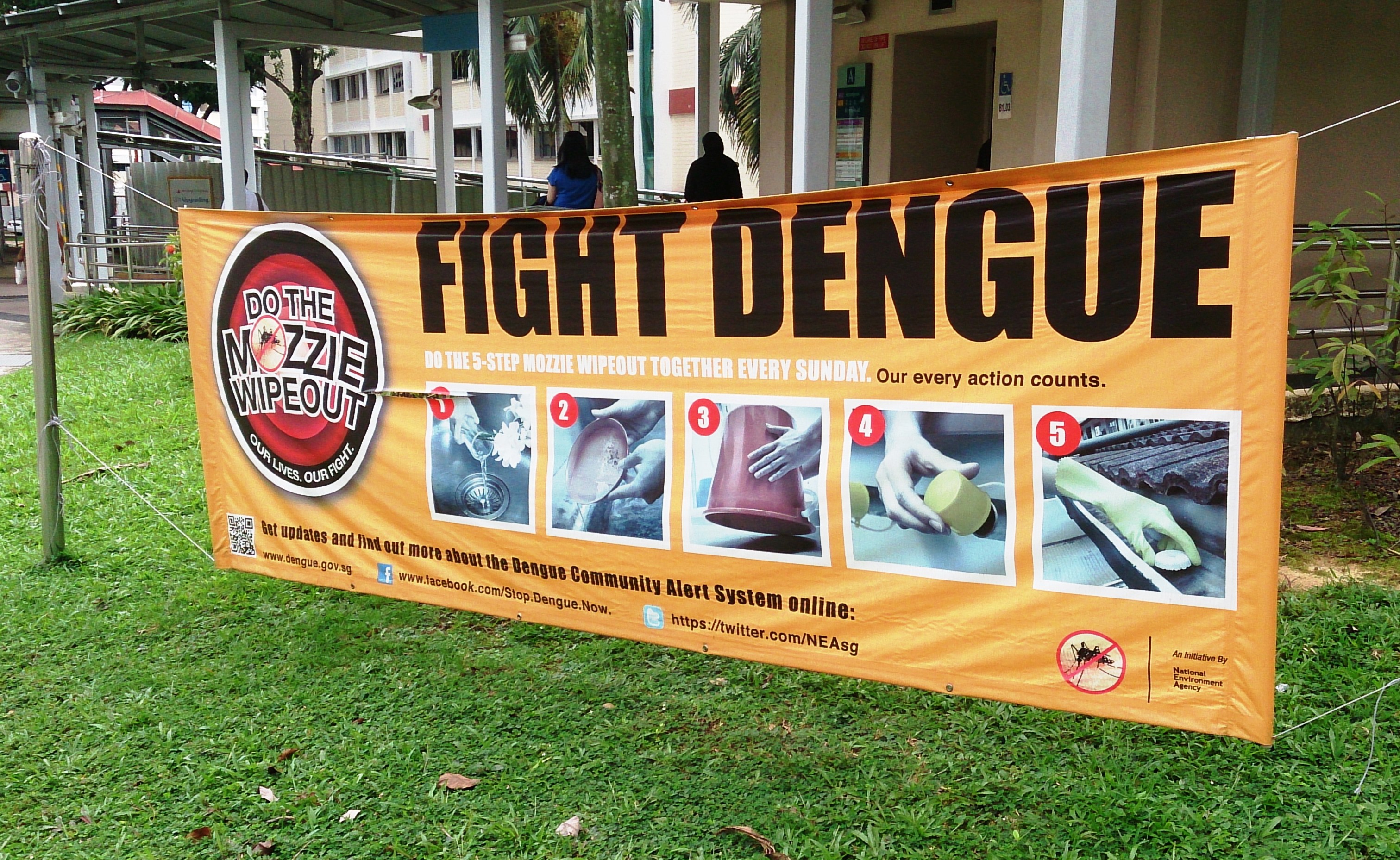 Dengue_fever_banner_(fight_dengue)