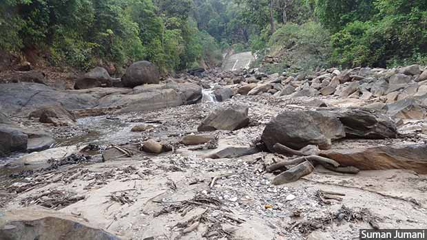 Dewatered stretch of a small dam in Western Ghats, Karnataka_620